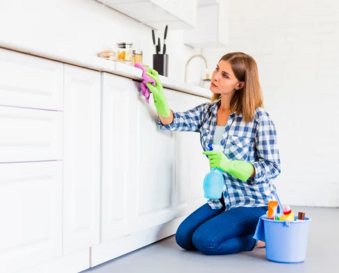 best cleaning products for home