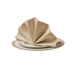 Dinner Napkin